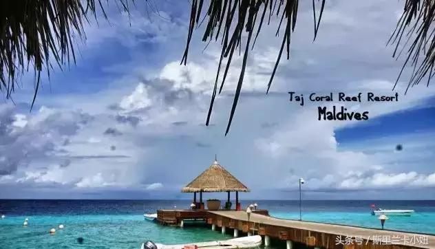 椹皵浠ｅか绂诲鐜囨渶楂樼殑鍥藉,澶╁爞鑳屽悗