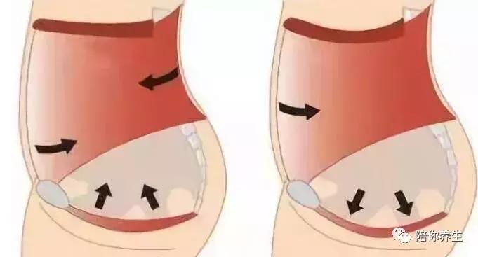 提肛*法大**学会了这几招可随时随地养生