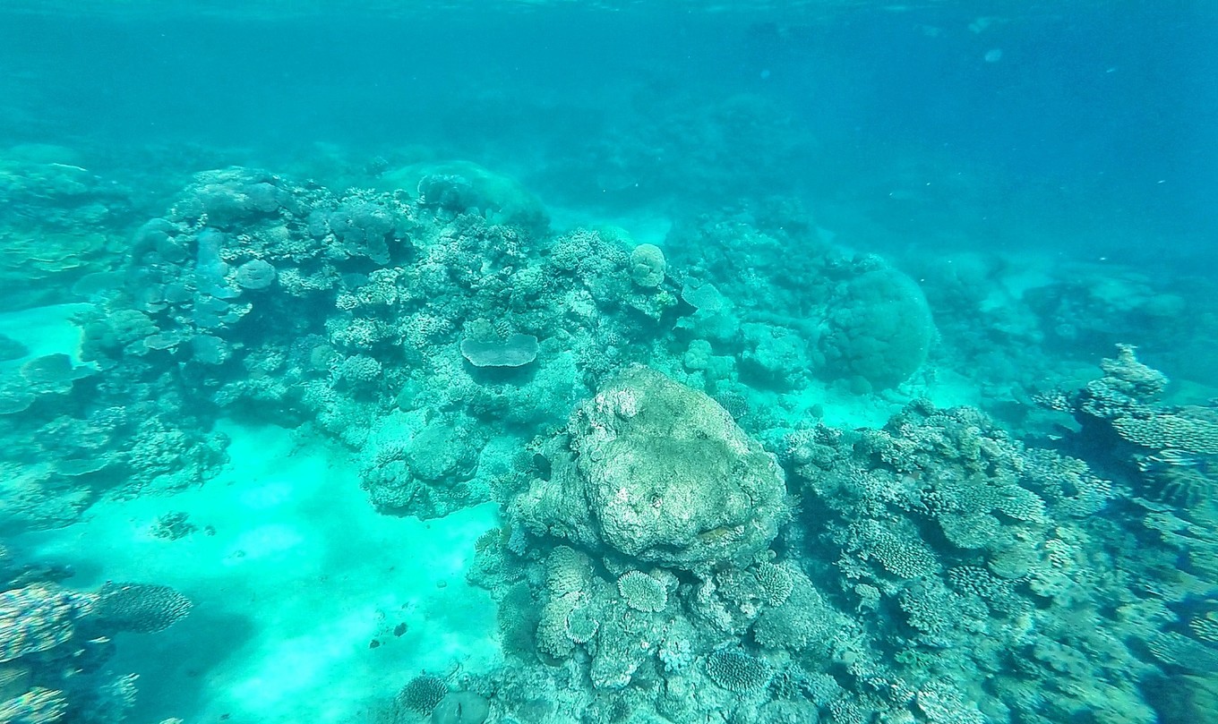 大堡礁坐船多久,去大堡礁玩多少钱