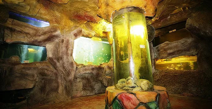 去长鹿旅游休博园需要带什么,去长鹿旅游休博园住哪里