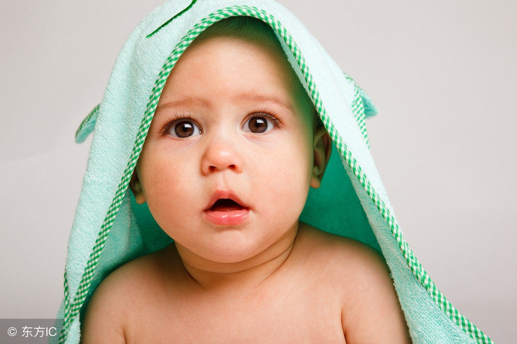 花是植物的生殖器：从生理到伦理，“性教育”的程序，你对了吗？