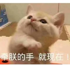 男士油痘肌氨基酸洗面奶推荐,适合超级敏感肌肤的氨基酸洗面奶