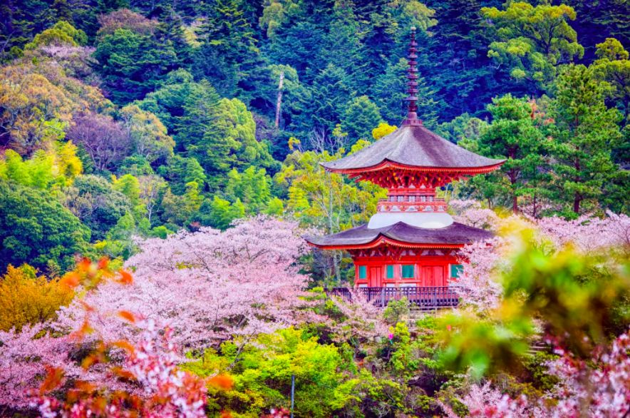 日本最高级的温泉,日本最古老的温泉是什么