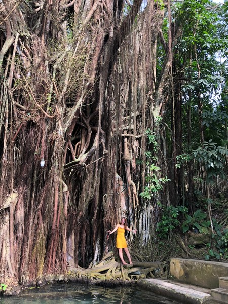 菲律宾自由行住宿雾岛,菲律宾薄荷岛宿务自由行