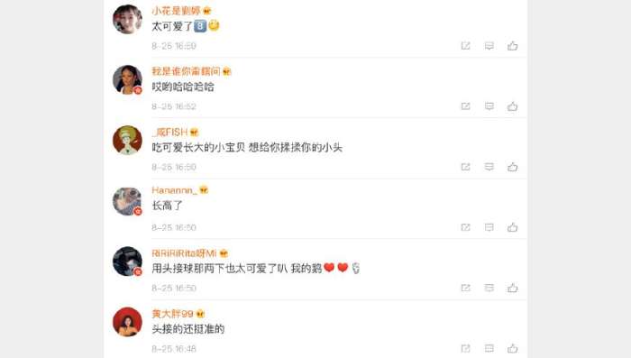 霍思燕杜江嗯哼骑马,霍思燕嗯哼台上跳绳