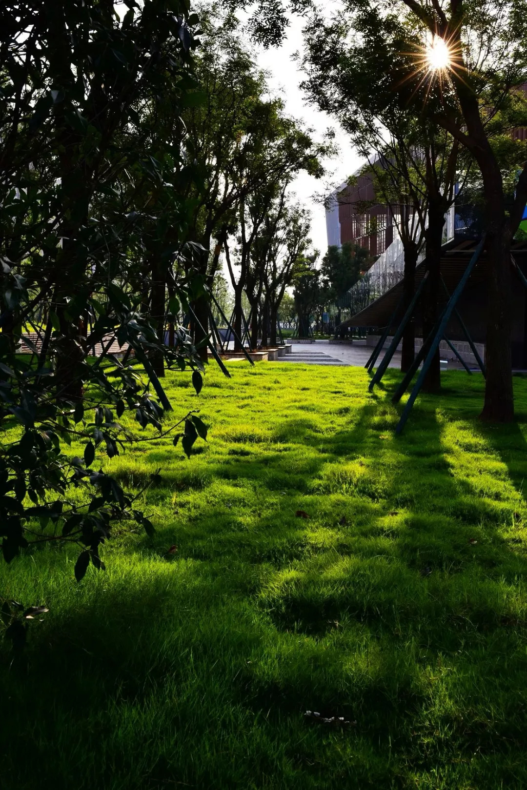 映象青白江｜汗流浃背才快活！傍晚的文体中心有最活力激情的一面！
