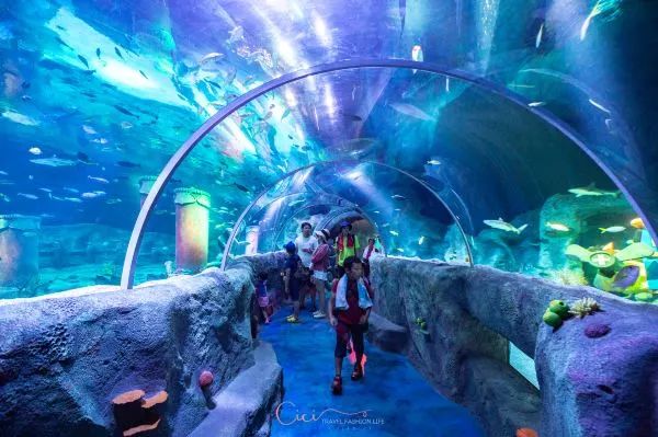 名古屋亲子游好去处,名古屋作为日本的一个小众旅行地