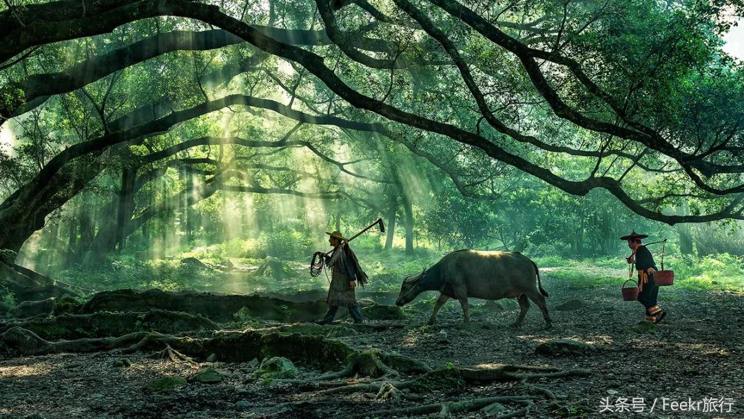 嵛山岛万亩草场,嵛山岛中国十大最美岛屿之一