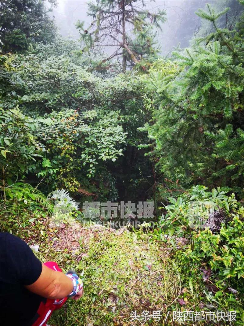 西安滴滴顺风车什么时候恢复正常,滴滴顺风车西安什么时候可以接单