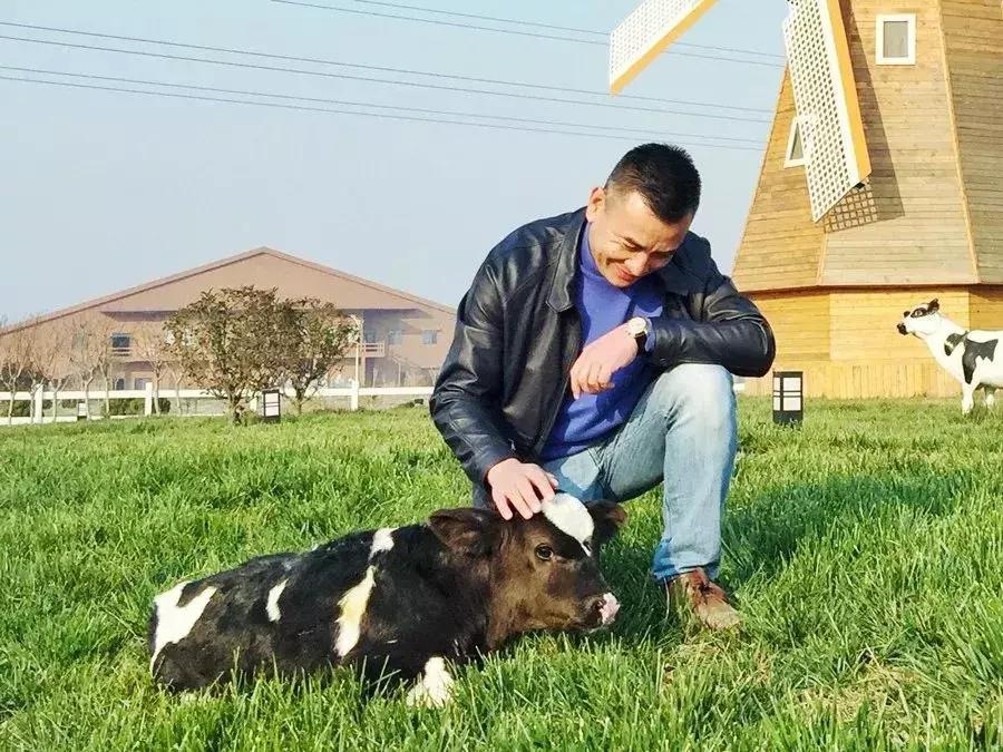为了让孩子喝上放心的牛奶，他斥资4.6亿自建牧场！