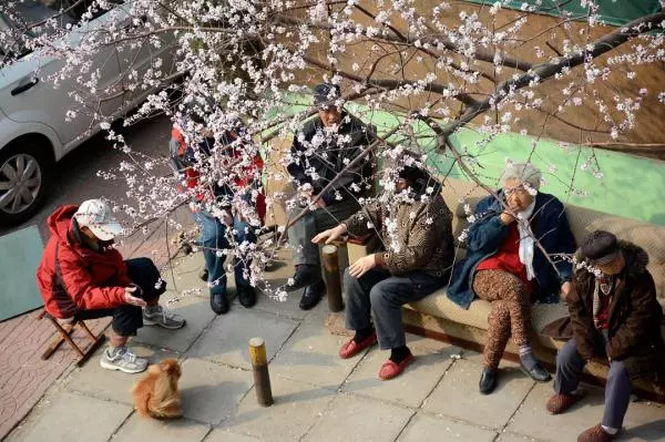 北京租房心酸史大全,北京租房经历视频