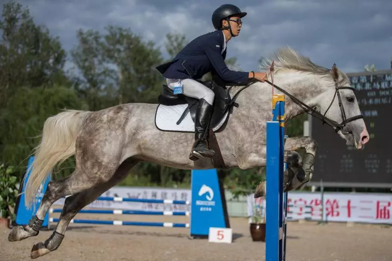 十余家马术俱乐部展开六个级别争夺，东北马术联赛第五站“跳”入辽宁省运会马术项目！