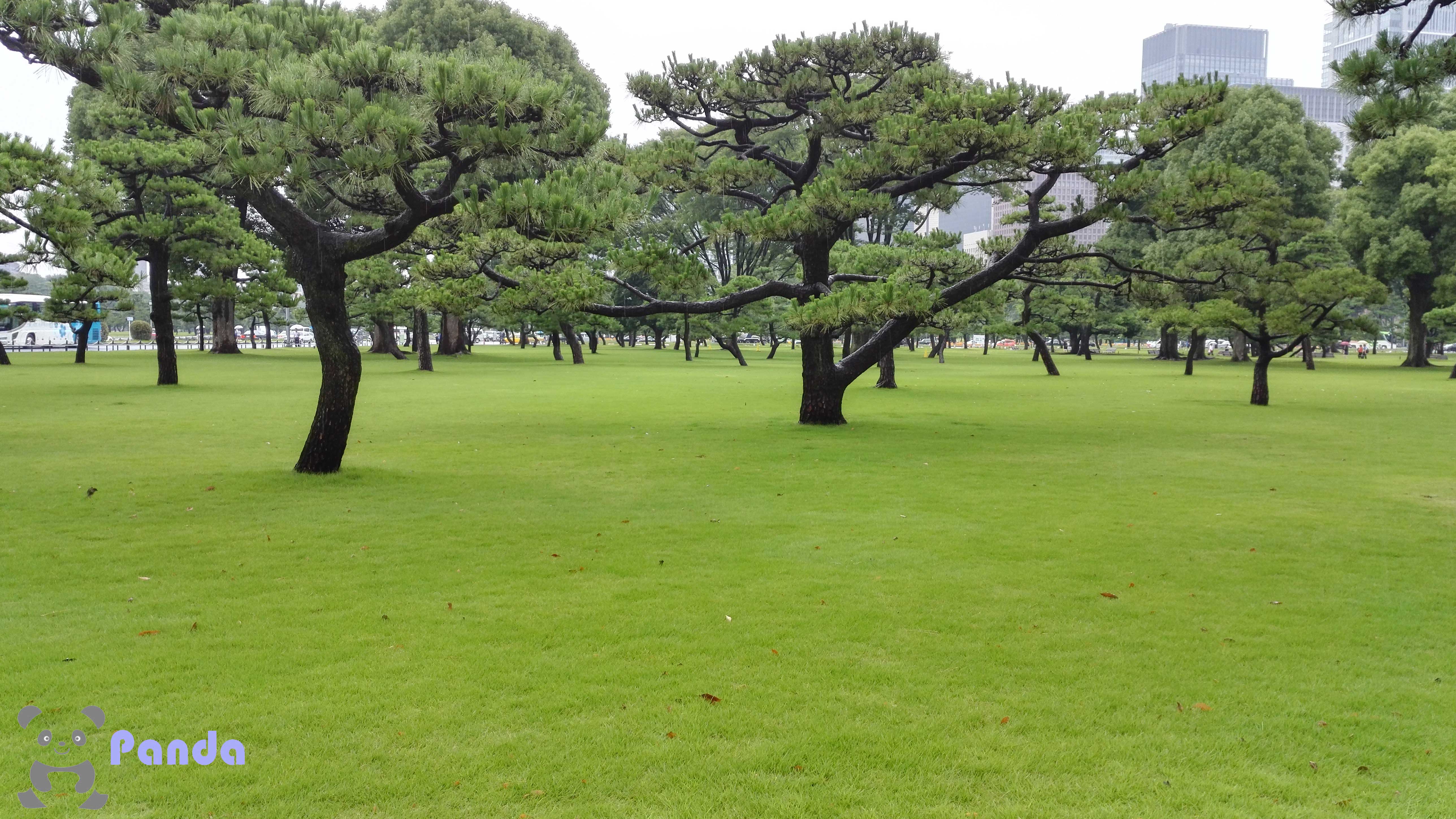 盼达旅游,东京皇居游览攻略视频大全