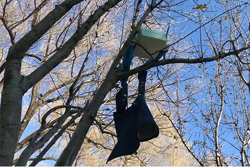 帮别人求婚什么心态,千万不要帮别人求婚