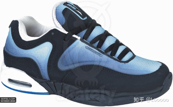 滑板鞋有什么特性,滑板鞋最火的是哪一款