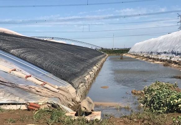 洪水无情，欧曼有爱