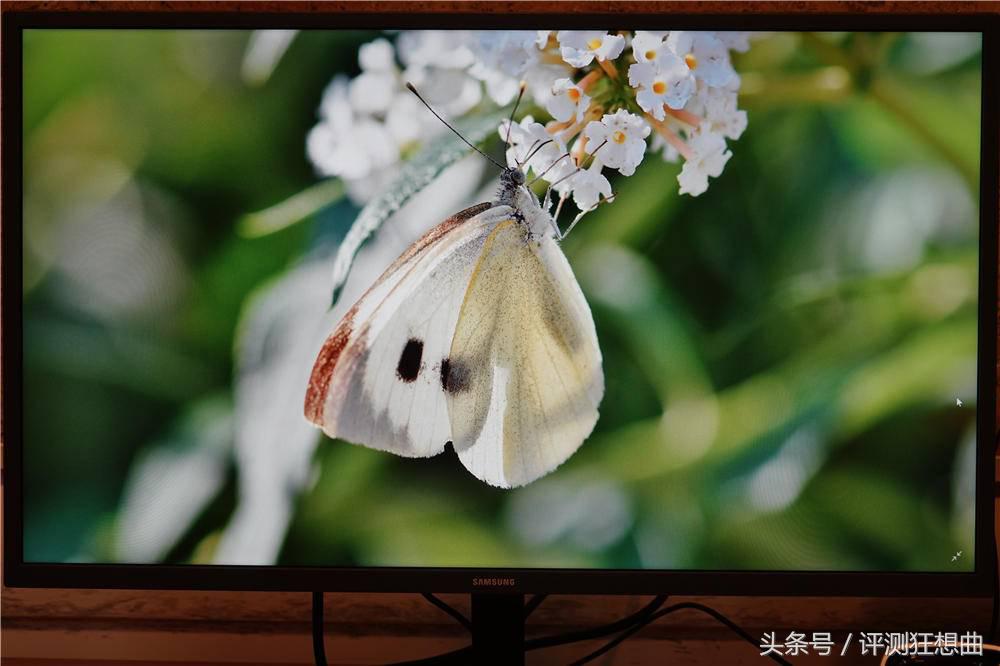 三星4k显示器u32j592uqc评测,三星显示器u32j592