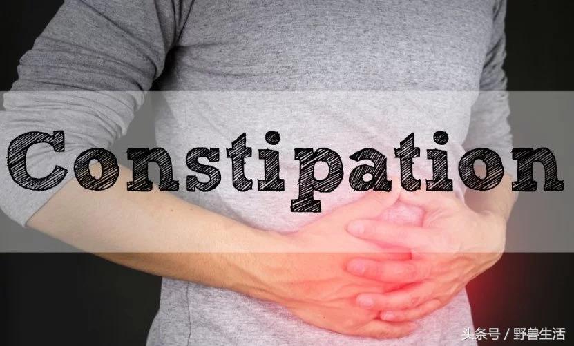 深度营养第十三章,深度营养在线阅读书评