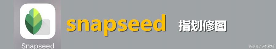 手机拍花黑背景技巧,拯救手机拍照杂乱背景