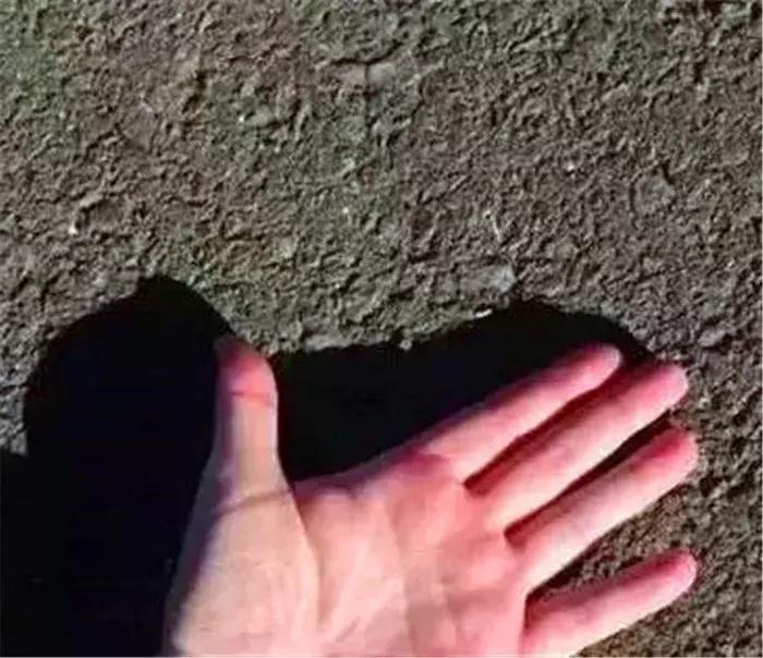 狗狗在野外中暑了怎么办,狗狗中暑在车里