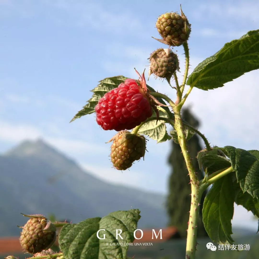 意大利风味冰淇淋,最近很火的冰淇淋意大利