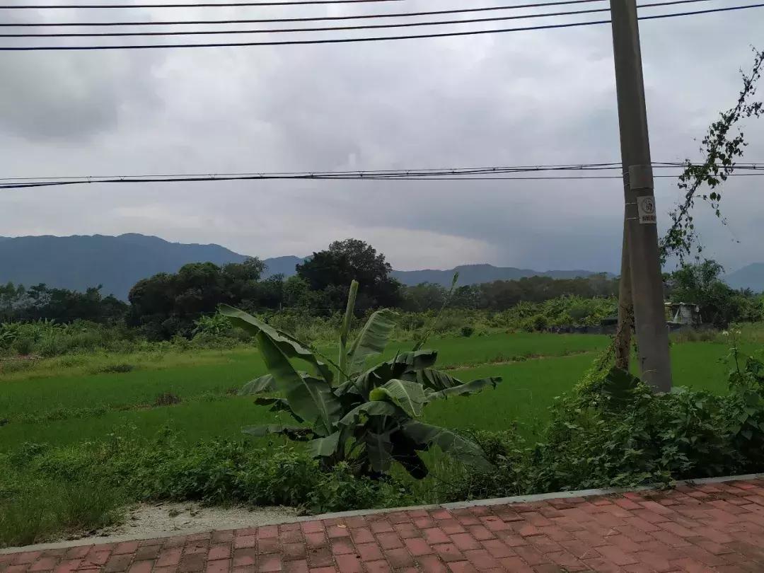 深汕特别合作区哪个位置发展得好,深汕特别合作区下一个镇