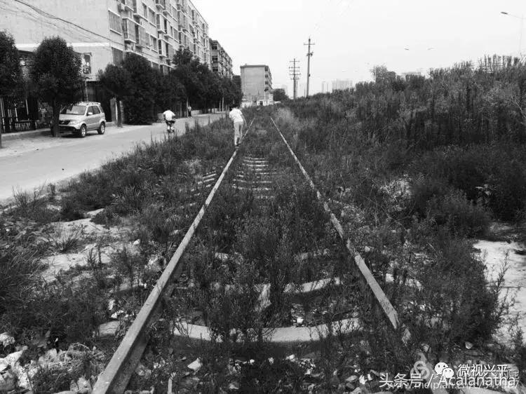 兴平：我的故乡我的云一一70后纤维厂纪事