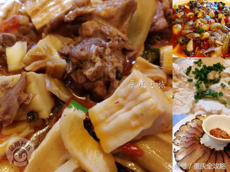 蜀南竹海美食全集,蜀南竹海关于竹子的美食