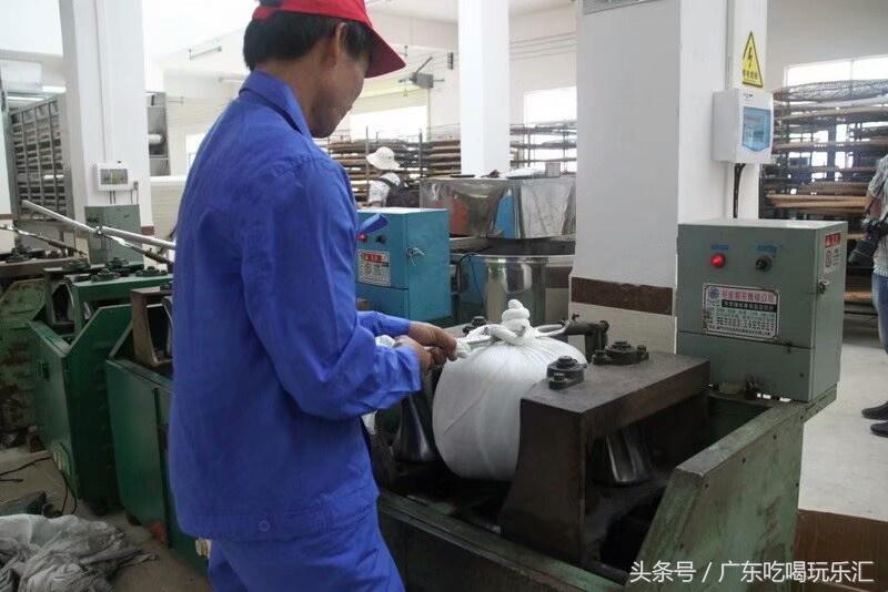 广东茗皇茶业种植基地,茗皇茶基地