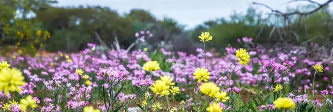 33个理由告诉你，为什么一生一定要去一次澳大利亚！