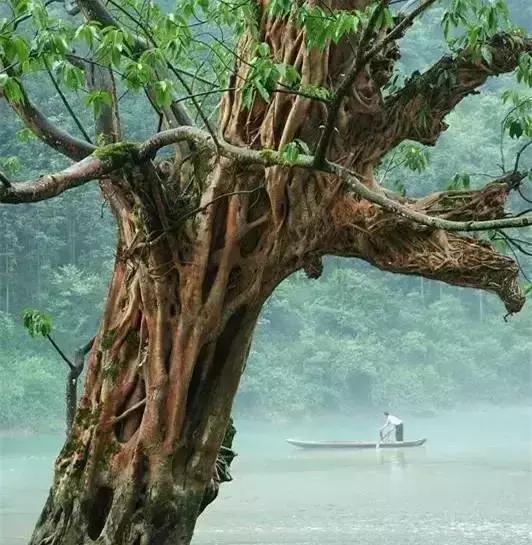 乐山最值得去的古镇,乐山哪里古镇好玩