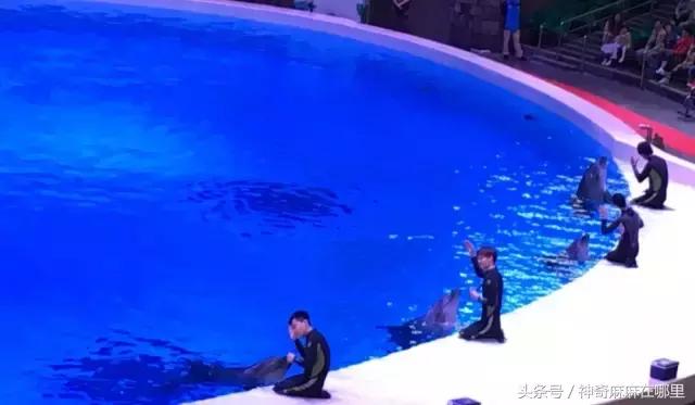 珠海长隆旅游攻略3天自由行,亲子游珠海长隆一日游攻略