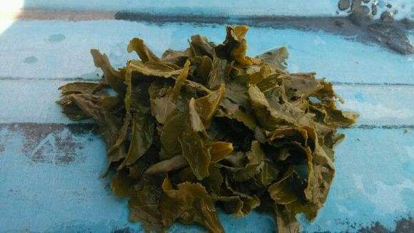 自制花肥恶臭冲天？用这4个小窍门，花肥不臭效果更好！