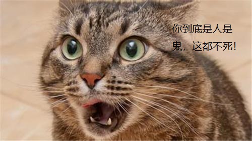 舜是什么样的君王,舜是一个怎样的人