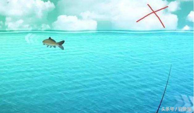钓到大鱼总是切线跑鱼？别怪线组太细，是你遛鱼手法不对！