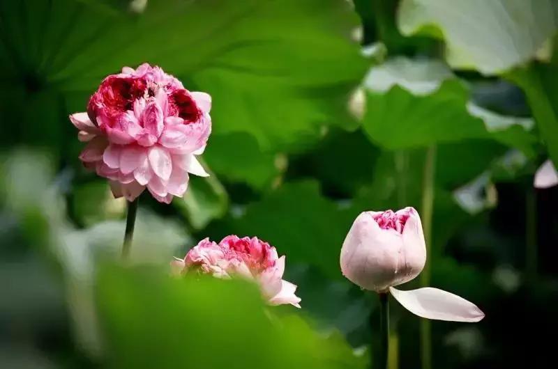 昆山样子,昆山市图片大全