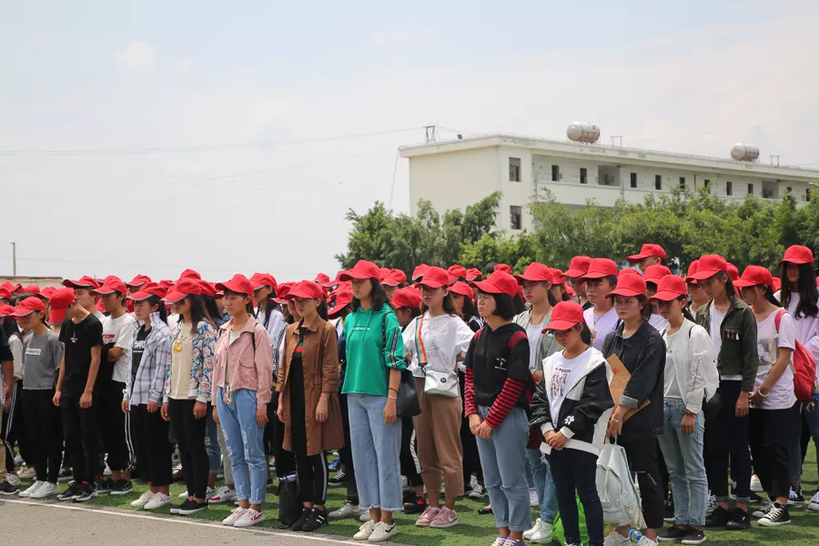 「今日宾川」既学本事还领“高”工资，这种好事给我来“一打”！