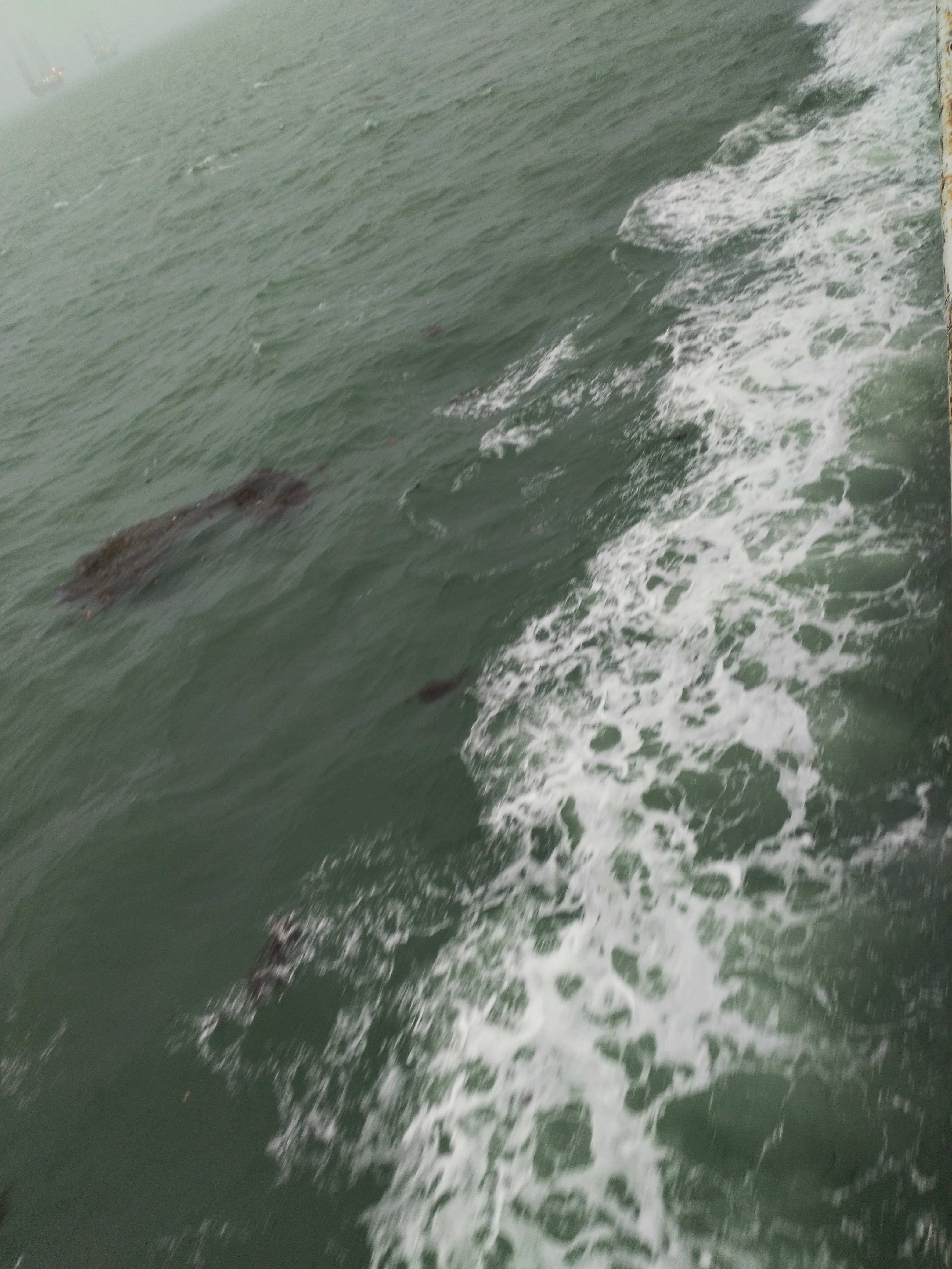 马路杀手变形记-三亚到苏州，千里走单骑