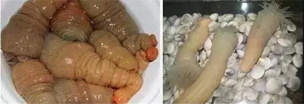 温州暗黑系小吃,温州十大暗黑美食排行榜