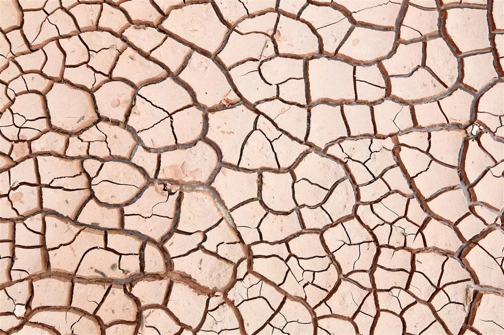 乳液推荐精华测评,精华和乳液推荐测评