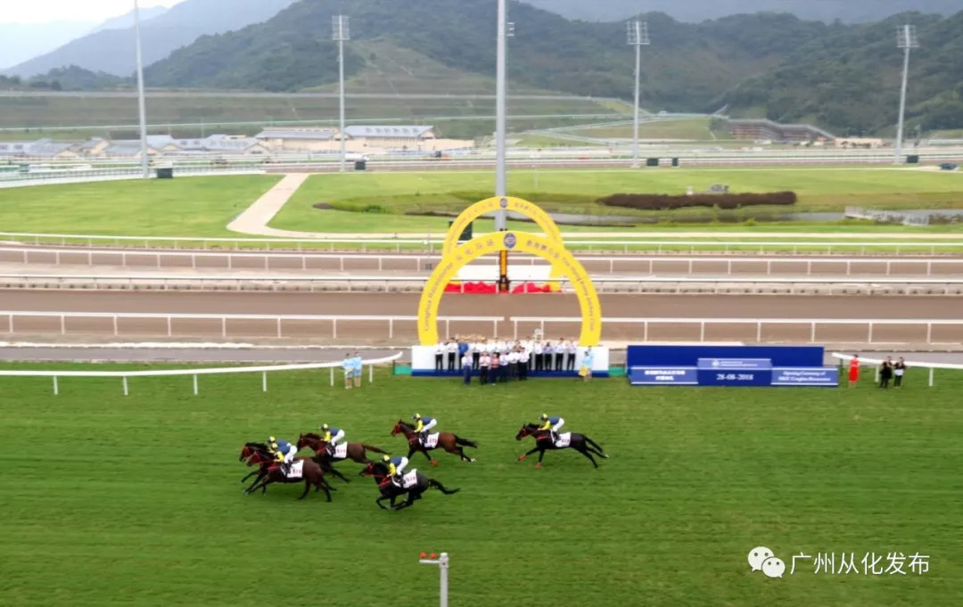 wow马术,香港赛马会从化马场