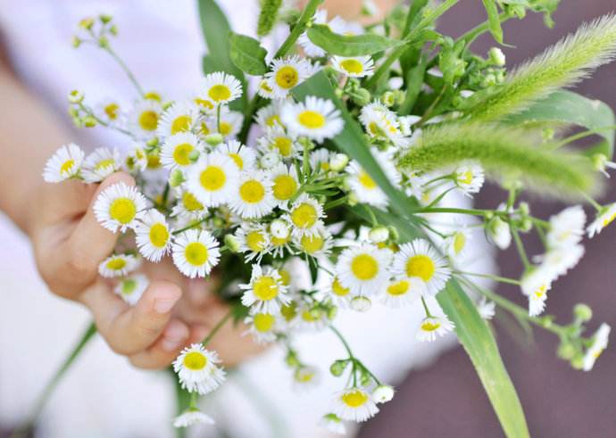 星际争霸2亚运会,星际争霸二2022iem决赛