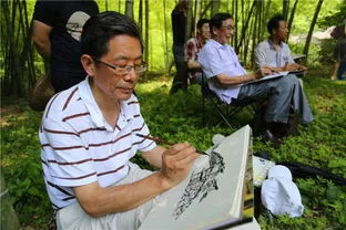 秀美乡村江西,秀美乡村活动视频