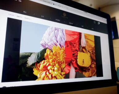 奢侈品电商生意,奢侈品电商对比