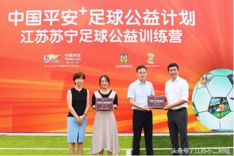 骞冲畨鏆戝亣鏁欒偛涓撻」娲诲姩,涓浗骞冲畨闆嗗洟灏戝勾瓒崇悆璁″垝