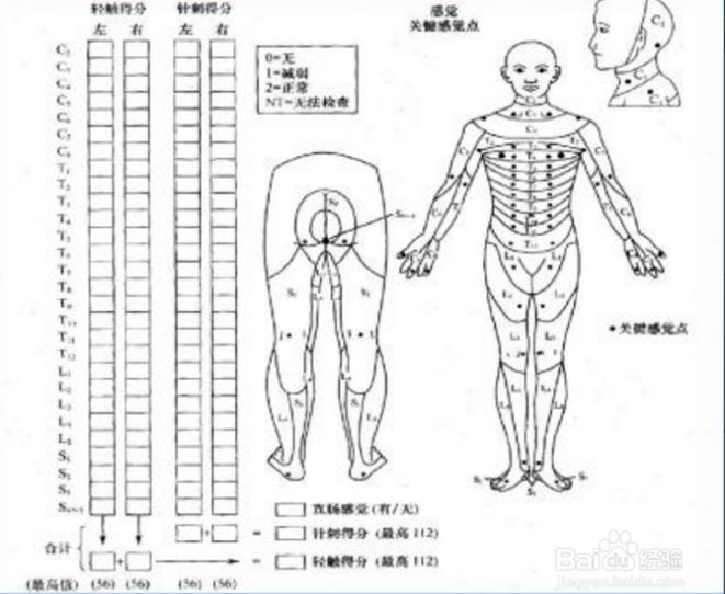 脊髓损伤康复需要针灸推拿吗,脊髓损伤后遗症推拿治疗