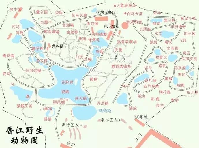 我不要做中国迪士尼，我要做中国的长隆！——苏志刚的长隆故事