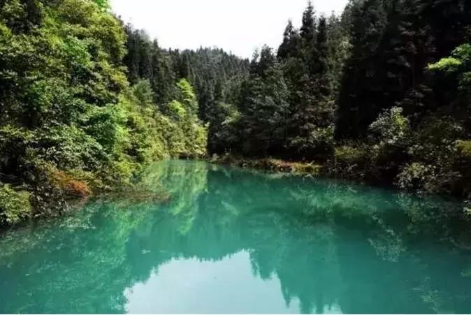 重庆人怎么躲“秋老虎”,秋老虎去哪里避暑