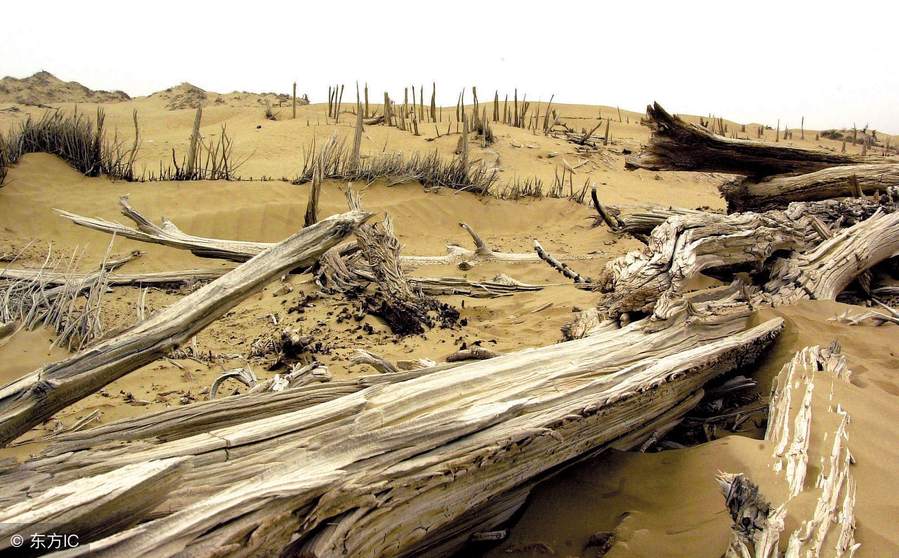 楼兰遗址有多重现,楼兰古城遗址门票以前开售过吗