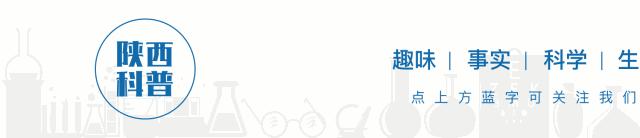 崴脚后怎么防护,崴脚养伤注意事项